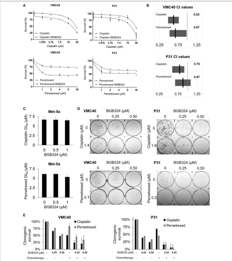 FIGURE 6 | Time-sequenced BGB324 combination with cisplatin and pemetrexed enhances MPM cell death