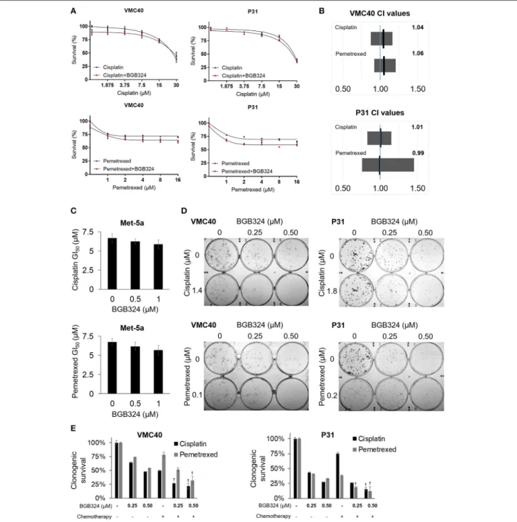 FIGURE 5 | Combination of BGB324 with cisplatin and pemetrexed enhances MPM cell death