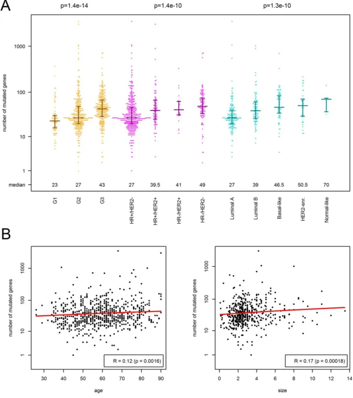 Figure 1. Association of the number of mutated genes (non-silent somatic mutation) with clinico-pathological characteristics of breast cancer