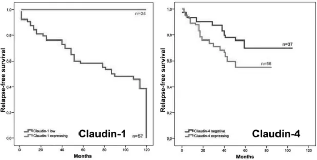 Figure 3. Expression of claudin-1 (left) and -4 (right) in tumor cells infiltration regional  lymph nodes, and the prognostic groups identified by their expression split at median