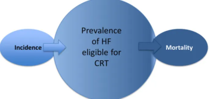 Figure 1. Simplified hypothesis in which prevalence of CRT indication is constant, since the mortality rate is compensated by the incidence of new eligible subjects.