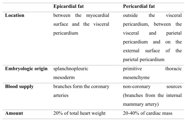 Table 2. Differences between epicardial and pericardial fat compartments  Epicardial fat  Pericardial fat  Location  between  the  myocardial 