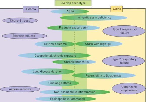 FIGURE 2 Schematic diagram of the shared subgroups between asthma and chronic obstructive pulmonary disease (COPD)