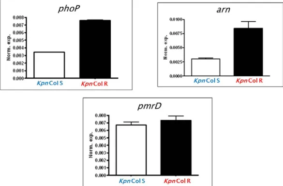 Figure 2: Relative gene expression of K. pneumoniae colistin-resistance genes 