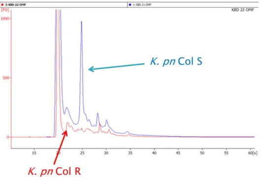 Figure 5: Analysis of K. pneumoniae outer membrane proteins by Microchip 