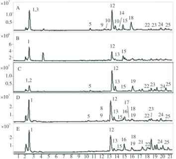 Figure 1.  Total Ion chromatograms of the detected phenolic components of  the studied parts of  C