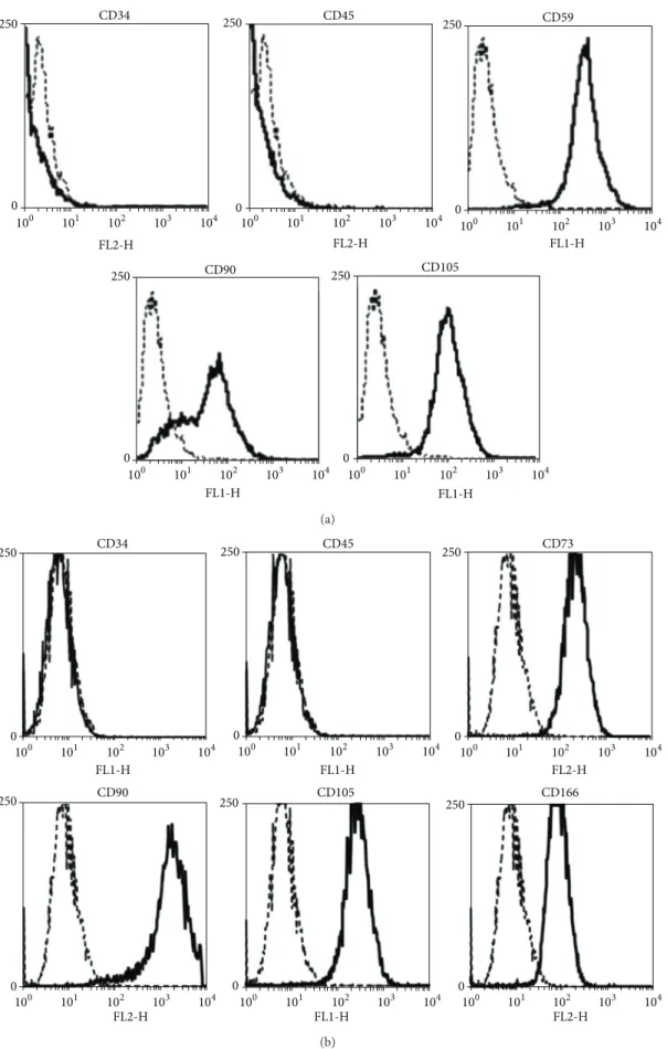 Figure 2: Characterization of adult stem cells. Flow cytometric analysis revealed a CD34 − , CD45 − and CD59 + , CD90 + , CD105 + pattern for hASCs (a) and a CD34 − , CD45 − and CD73 + , CD90 + , CD105 + , CD 166 + pattern for hBMSCs (b)