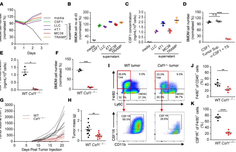 Figure 1. Tumor cell–derived CSF1 promotes tumor growth and recruits CSF1R +  tumor-associated macrophages