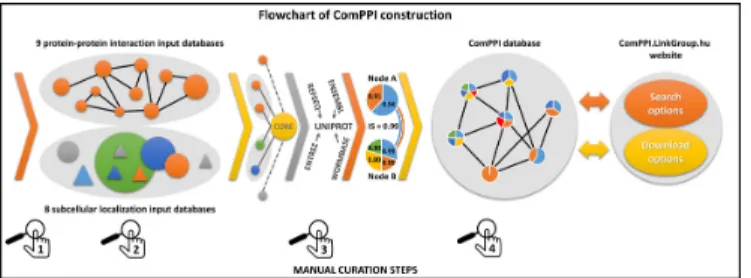 Figure 1. Flowchart of ComPPI construction highlighting the four cura- cura-tion steps