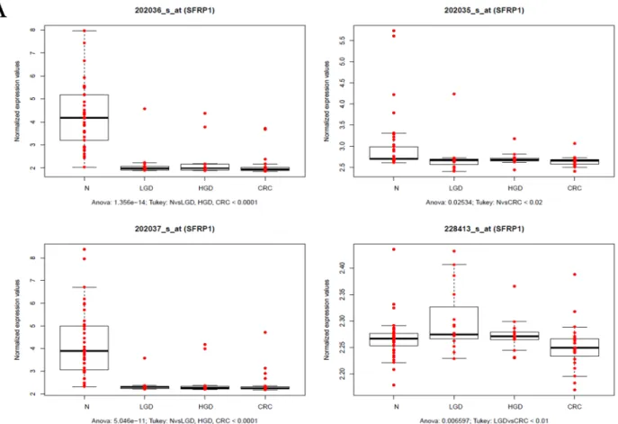 Fig 3. A. Gene expression of SFRP1 during ACS measured by mRNA expression microarray analysis