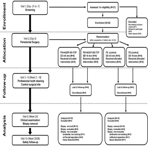 Fig. 1 Study IV flow chart including patient enrolment, treatment allocation, follow-up and analysis (FS: 