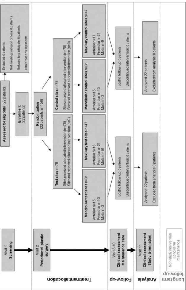 Fig. 3 Study VI flow chart including patient enrolment, treatment allocation, follow-up and analysis 