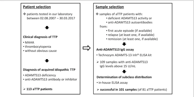 FigUre 1 | Scheme of patient and sample selection. Abbreviations: MAHA, microangiopathic hemolytic anemia; aTTP, acquired idiopathic thrombotic  thrombocytopenic purpura.