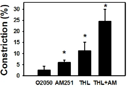 Fig. 2. Intrinsic CB 1 R activity keeps myogenic tone reduced. The type 1 cannabinoid receptor (CB 1 R)- R)-antagonists  O2050  (a  neutral  antagonist,  1μM)  and    AM251  (an  inverse  agonist,  1μM)  and  also  the  diacylglycerol  (DAG)  lipase-inhibi
