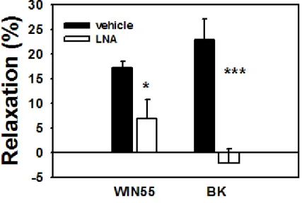 Fig.  6.  Endothelial  component  of  CB 1 -R  vasodilation.  The  CB 1 R  agonist  WIN55212  (1μM)-induced  vasodilation was partially blocked by the presence of Nω-nitro-L-arginine in the bath (50 µM, n= 5)