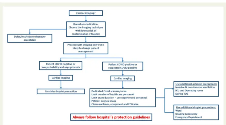 Figure 1 Suggested considerations and precautions before and during cardiac imaging.