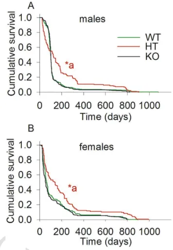 Fig. 1. The effect of partial or complete deletion of cypD in the lifespan of male and fe- fe-male WT, cypD heterozygous and cypD KO mice