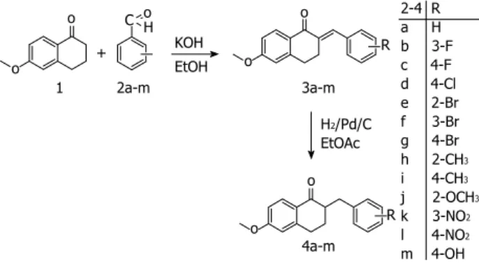 Figure 1  Outline of the procedure for the synthesis of the tetralones. 
