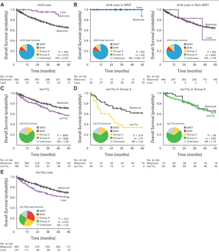 Fig 2. (A) Overall survival curves and frequency distribution of chromosome 6 (chr6) status across entire cohort