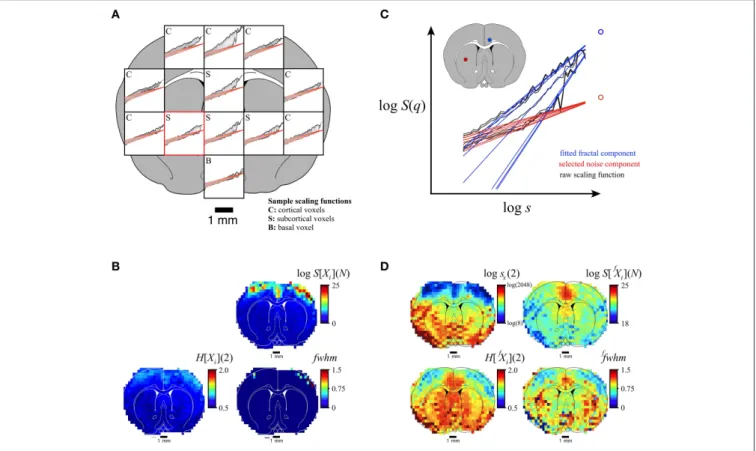 FIGURE 9 | Performance of the SFD approach in handling multifractal bimodality on a limited-definition empirical signal (fMRI-BOLD)