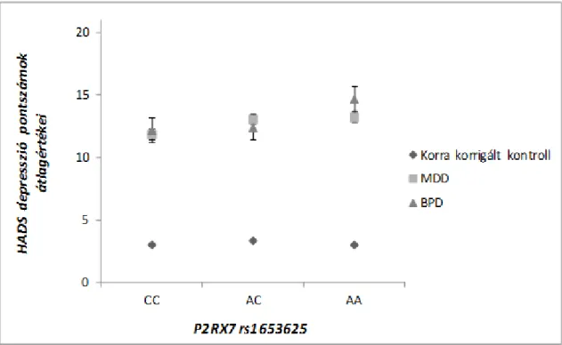 4. ábra: A klinikai státusz és az rs1653625  polimorfizmus hatása a HADS depresszió  pontszámokra az MDD, BPD és ’korra-korrigált’ kontroll alcsoportokban