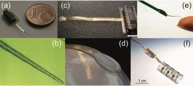 Fig.  1.7.  Photographs  of  various  polymer-based  microfabricated  electrode  arrays