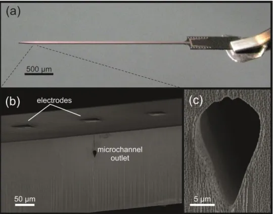 Fig. 1.9. (a) Photograph of a silicon-based neural probe for simultaneous in  vivo  electrophysiological  recordings  and  drug  delivery,  microfabricated  at  the MFA