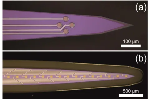 Fig. 3.1. (a) Tetrode and (b) linear electrode array configurations. 