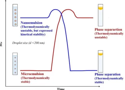 Figure 7. Demonstration of the free energy (ΔG) of nanoemulsion and microemulsion  compared to the phase separated state