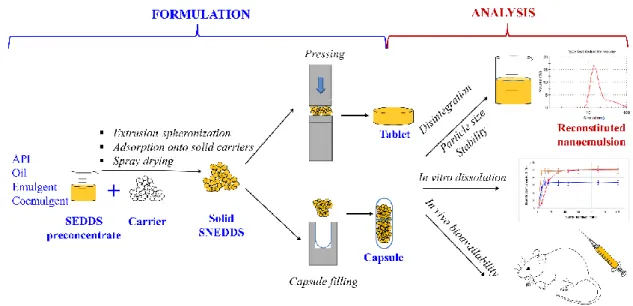 Figure 9. Formulation and analysis possibilities of solid SEDDS (self-made) 