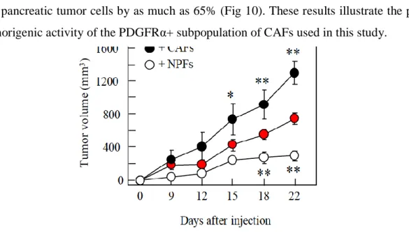 Figure 10. Pro- and anti-tumorigenic fibroblasts in a subcutaneous mouse model. 