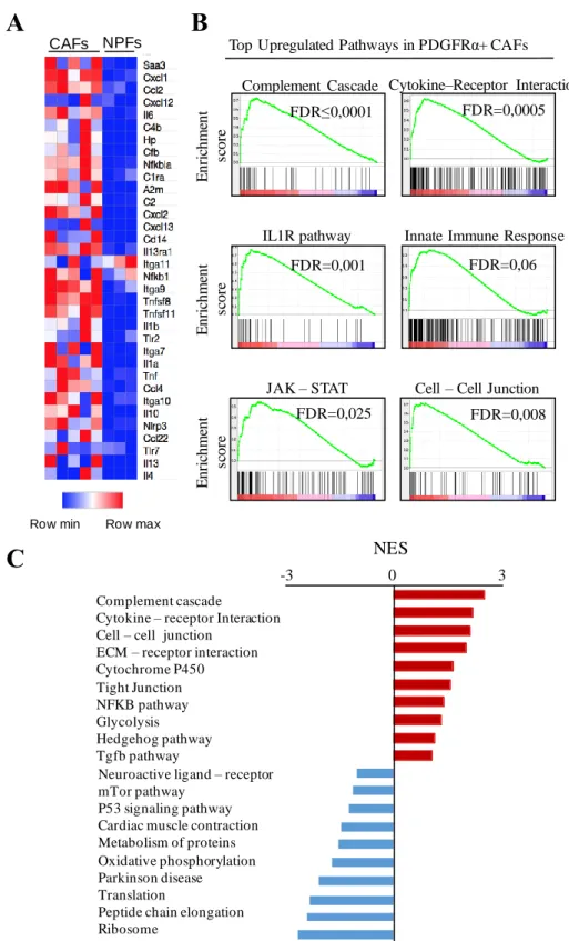Figure 12. Transcriptional profiling of PDGFRα+ CAFs. (A) Heat map representing  color-coded expression levels of differentially expressed inflammatory genes in CAFs (n 
