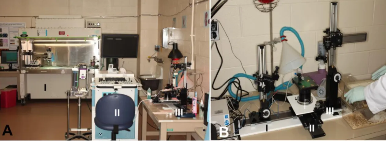 Figure  7.  High  frequency  ultrasound  and  micro-injection  system.  (A)  I.  Telemetry  implantation  was  done  under  surgical  microscope  in  a  biosafety  hood