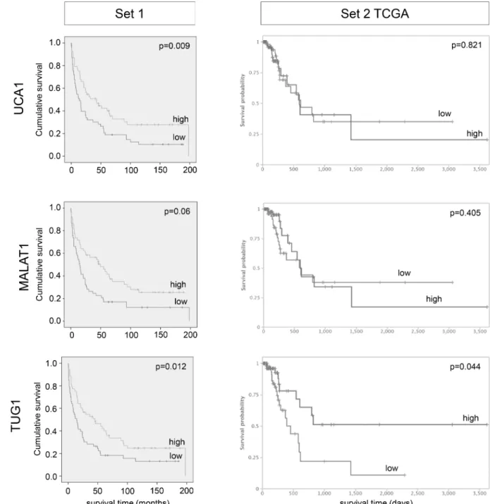 Fig 2. Impact of lncRNA expression levels on patient overall survival in tissue set 1 and 2