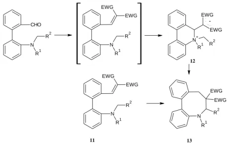 Figure 19: Formation of the phenantridinium compound (12) and the dibenzazocine  (13) 
