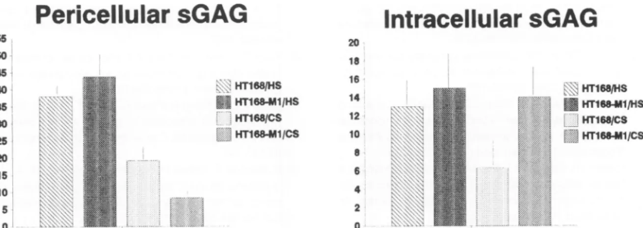 Figure 6. Incorporation of 3H-glcN into sGAGs of melanoma cells. Data are expressed in cpm x 1C3/105 cells