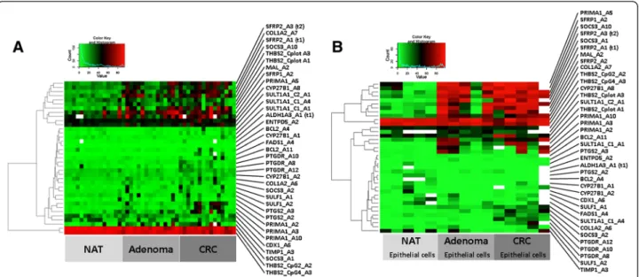 Fig. 3 Heatmap representing level of DNA methylation in a) NAT, AD, and CRC biopsies and macrodissected samples and in b) NAT, AD and CRC LCM epithelial cells