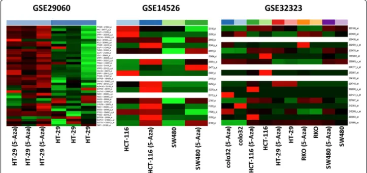 Fig. 2 Heat map of gene expression data of the selected marker set in 5-aza-2 ’ -deoxycytidine-treated human colon adenocarcinoma cells (GSE29060; GSE14526; GSE32323)