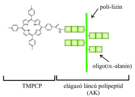 6. Ábra A TMPCP elágazó láncú polipeptiddel kialakított konjugátumának (TMPCP- (TMPCP-AK) szemléltetése