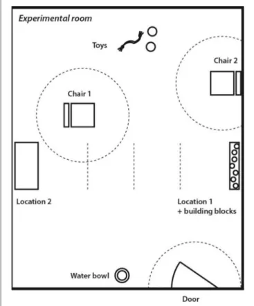 FIGURE 1 | Set-up used in the “Strange Situation Test”.