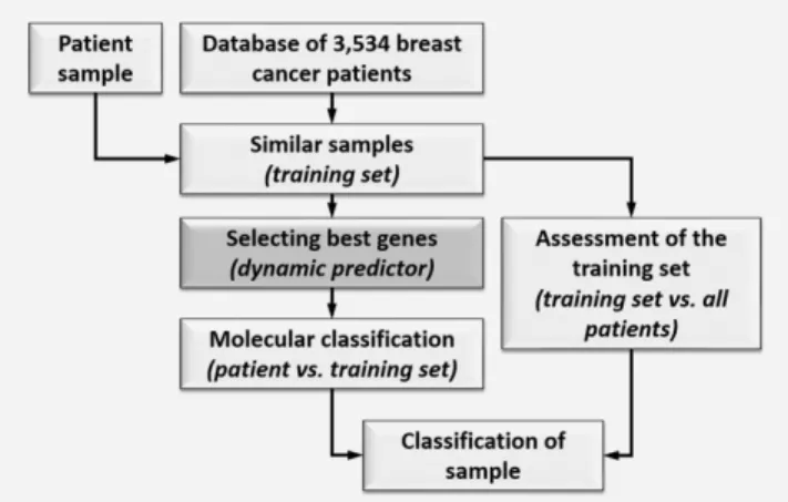 Figure 1. Dynamic predictor development process. A large data- data-base is used to select a subset of training cases that are  molecu-larly the most similar to the test case