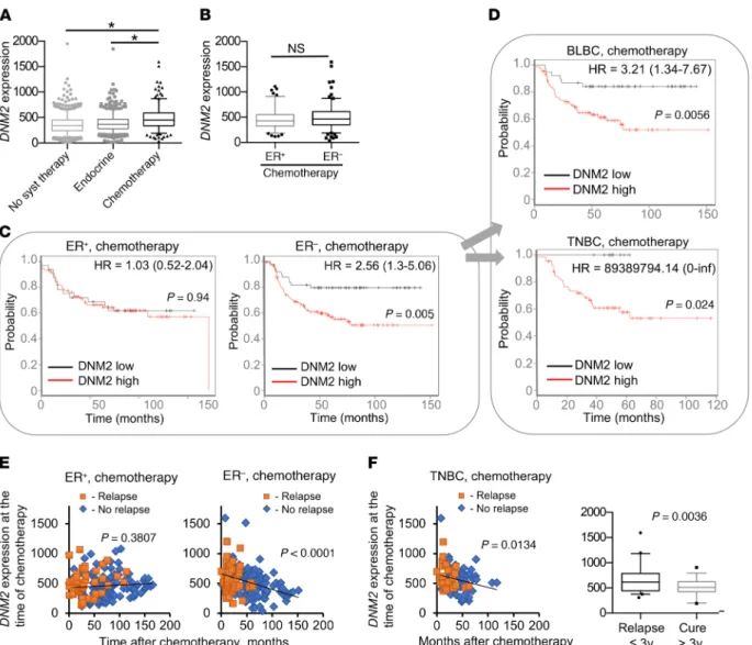 Figure 9. DNM2 expression predicts chemotherapy outcome for ER –  breast cancer patients