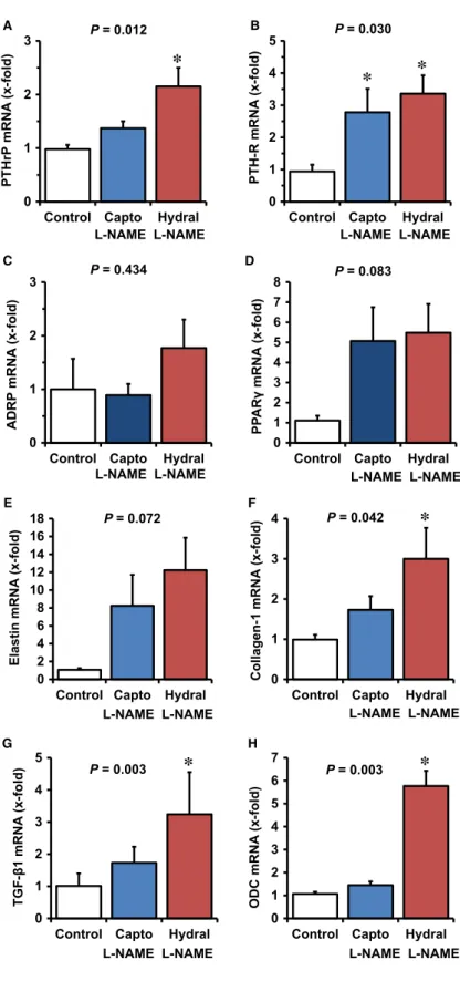 Fig. 5 Effect of captopril and hydralazine on L-NAME-induced changes in the  pul-monary mRNA expression of PTHrP,  PTH-1 receptor, and PTHrP downstream  tar-gets ADRP and PPAR c and that of fibrotic markers