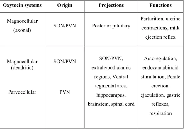 Table 1. Oxytocin central pathways 