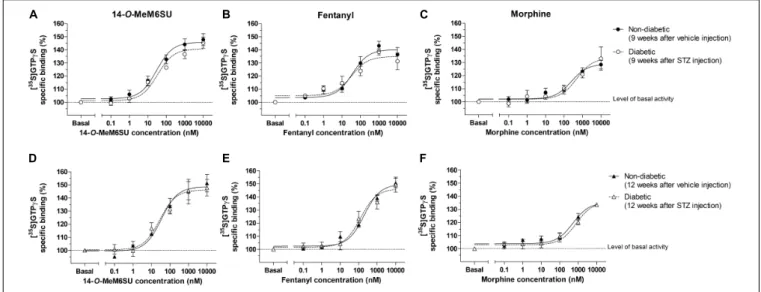 FIGURE 9 | Agonist activity of 14-O-MeMSU (A,D) compared to fentanyl (B,E) and morphine (C,F) in rat whole brain membrane homogenates treated with vehicle or STZ 9 weeks (A–C) or 12 weeks (D–F) after treatment in [ 35 S]GTP γ S binding assays