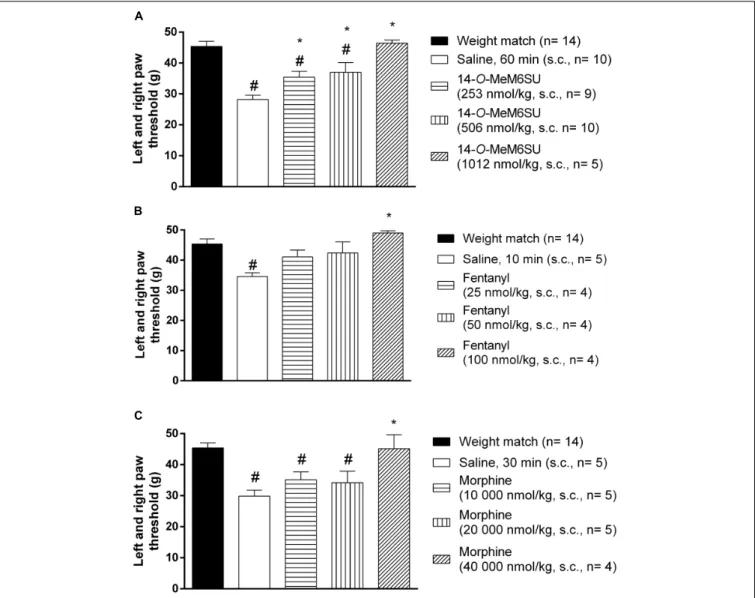 FIGURE 4 | The systemic antinociceptive effect of 14-O-MeM6SU (A), fentanyl (B) and morphine (C) in STZ treated diabetic rats with neuropathy on DPA test following systemic (s.c.) administration at 9th week after STZ injection