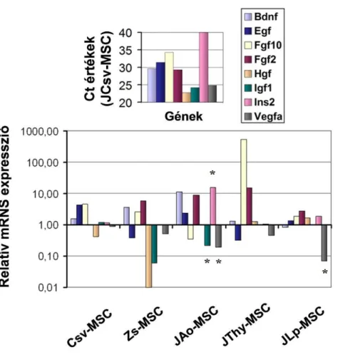 13. ábra: Az MSC kultúrák  növekedési faktor gén  kifejezése.  A  vizsgált  8-féle  növekedési  faktor  gén  kifejeződésének  mértéke  általánosságban  hasonlónak  mondható (Igf1, Vegfa, Bdnf, Fgf2, és Egf), bár egyes sejttípusokban némi eltérések  voltak 