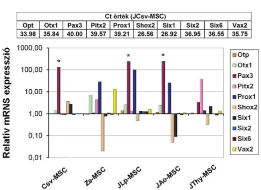 26. ábra: Nem klasszikus Hox-gének kifejeződése az MSC-kben.  