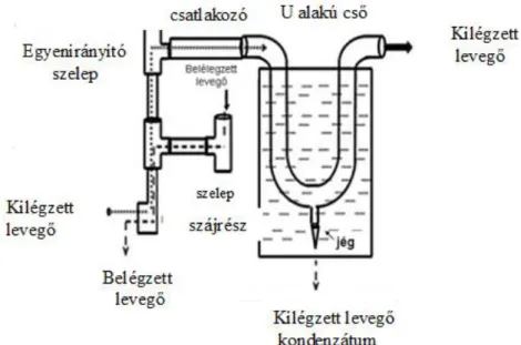 3. ábra. A kilégzett levegő kondenzátum gyűjtésének elve (Augusto és mtsai. alapján  módosítva [100]) 