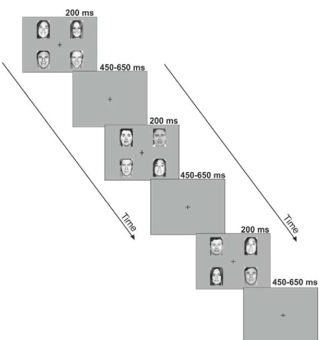 Figure 5. Schematic illustration of the pattern of emotional stimuli used in the experiment